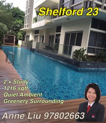 shelford-23 photo thumbnail #9